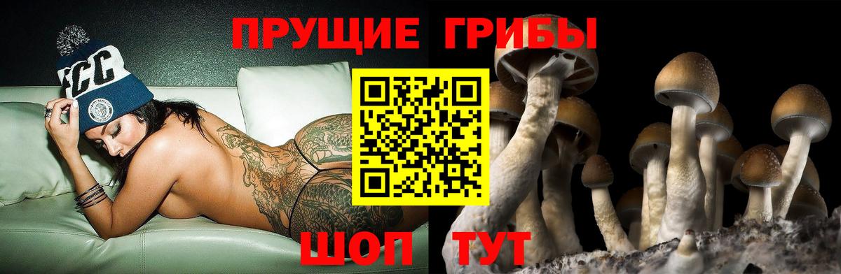 Псилоцибиновые грибы ЛСД Кулебаки