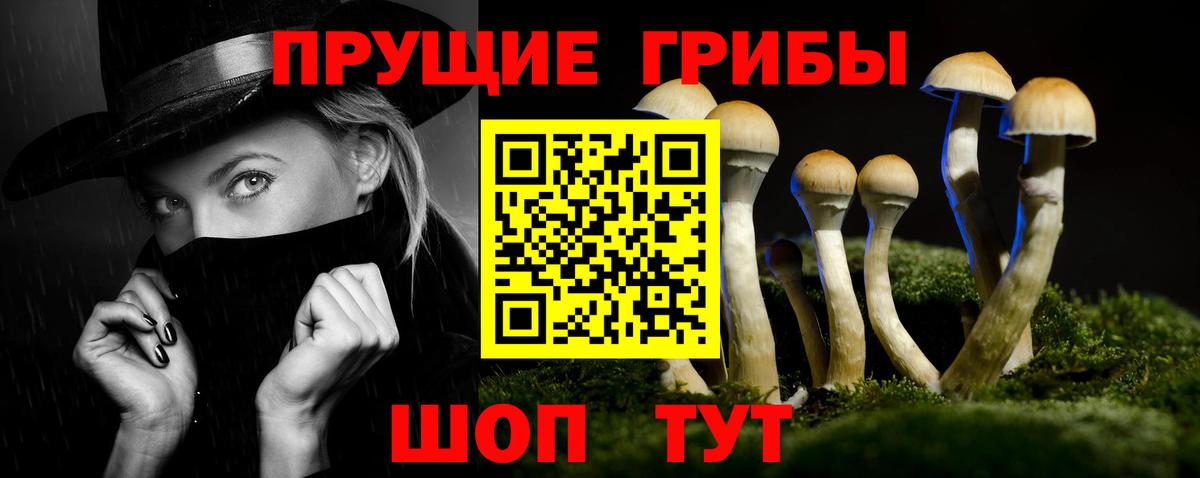 Псилоцибиновые грибы мицелий  Вход с VPN  Кулебаки 